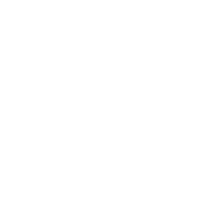 Eisfeld Consulting